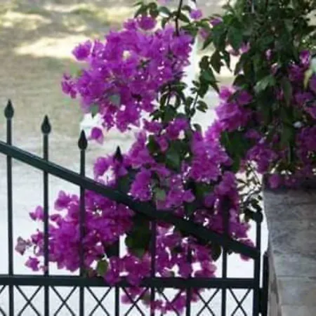 Vokamvilia & Close To The Sea Tatil Evi *